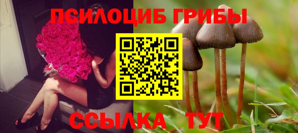 Коломна  закладка  Вход с VPN  Псилоцибиновые грибы мицелий 